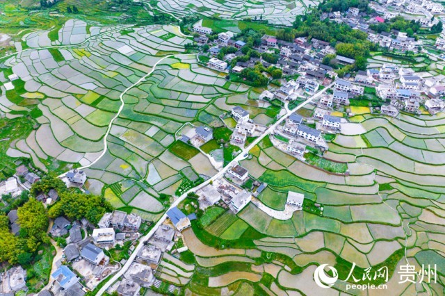 �����F��л�Ϫ�^(q��)��������������W(w��ng)ӛ�� Ϳ���z